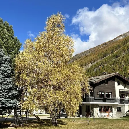 Alpenstern Appartement-fewo 4-bettwohnung Distel By Interhome * Saas-Grund